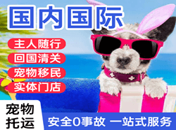 珠海金湾机场快运国际宠物托运 【国